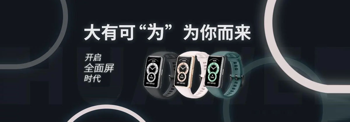 信息分类
